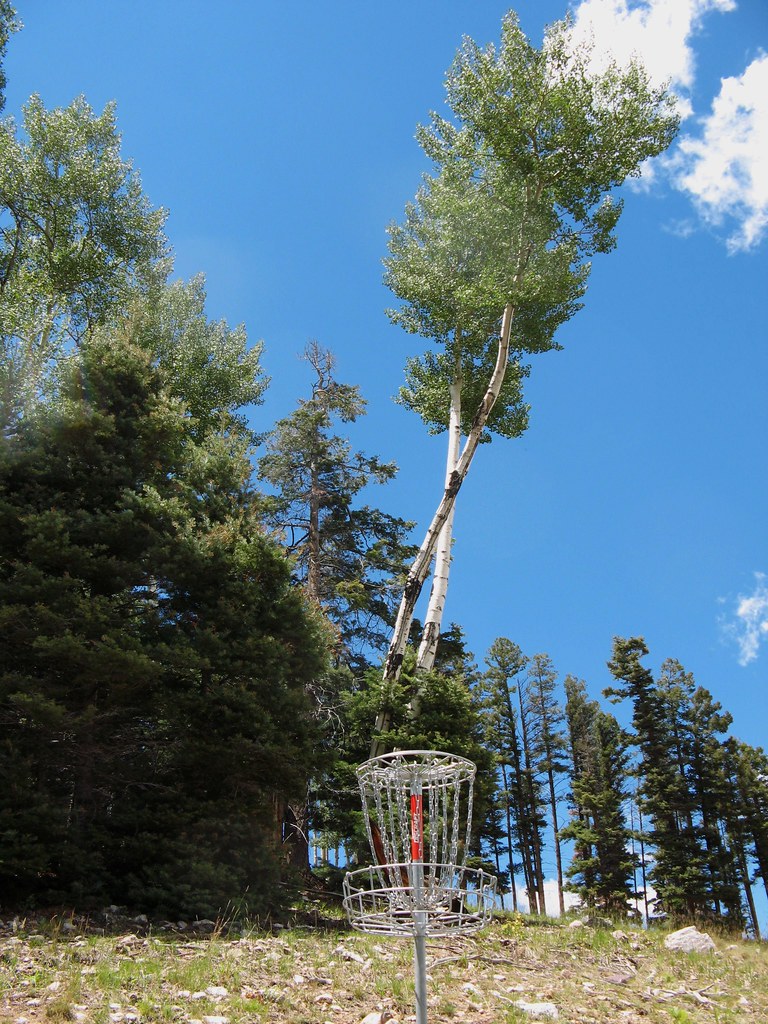 Colorado DG disc golf shots David Kitto Flickr