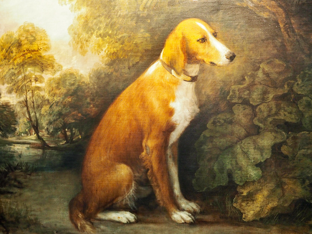 P7242842 Petworth House, Petworth, West Sussex National Tr… Flickr