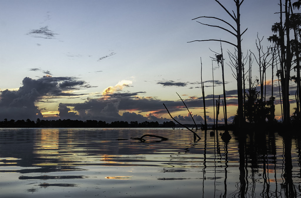 Chocowinity Bay 2306 Beaufort County, NC August 7, 2022 F… Flickr