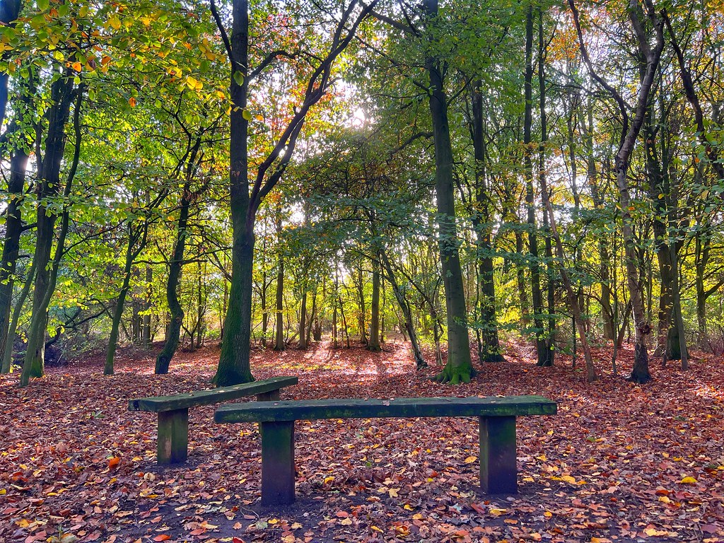 Huntington Huntington cannock lake in Cannock Chase cattan2011
