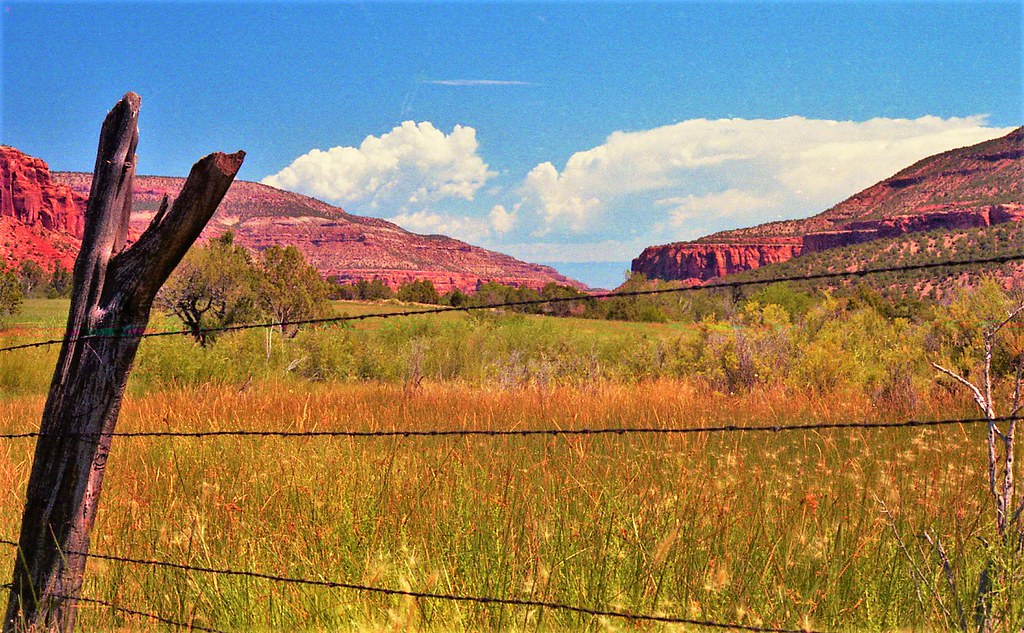 Escalante Canyon Delta County, CO August 3, 1986 Canon AE1… Flickr