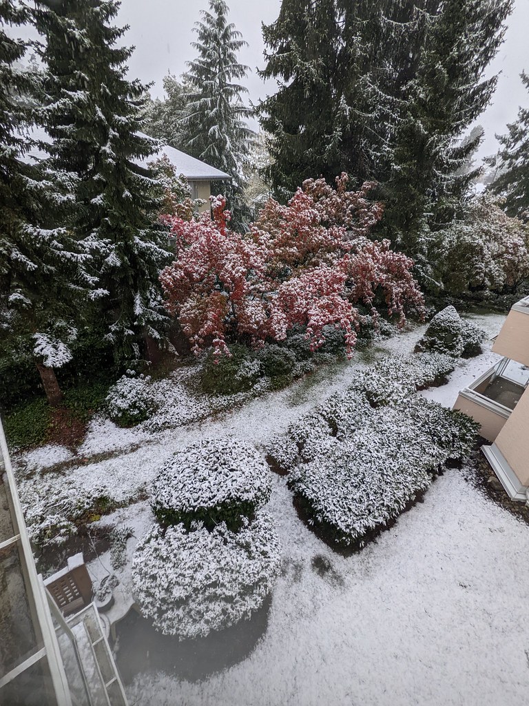 First snowfall this Autumn Garden Village, Burnaby, Britis… Flickr