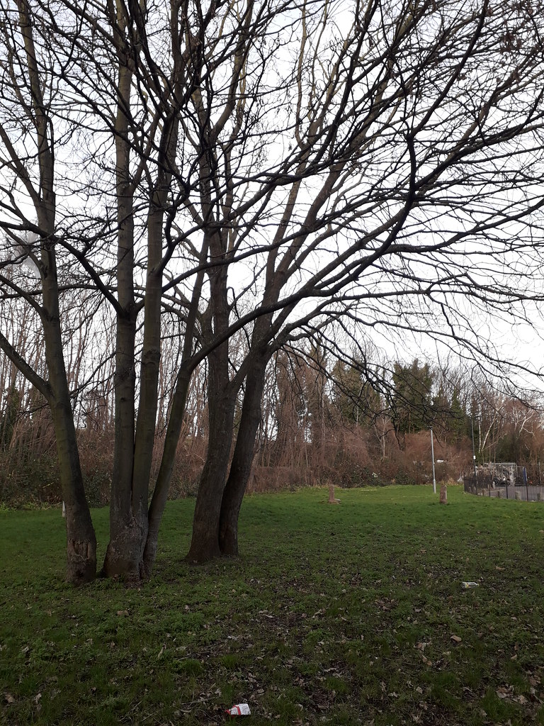 Haringey building on green space at Remington Road N15 Flickr