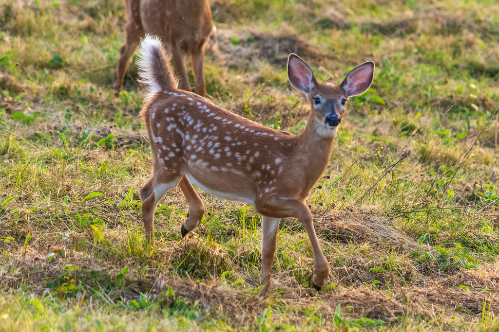Bras d'Or Lake, Cape Breton Island, Nova Scotia, Canada Flickr