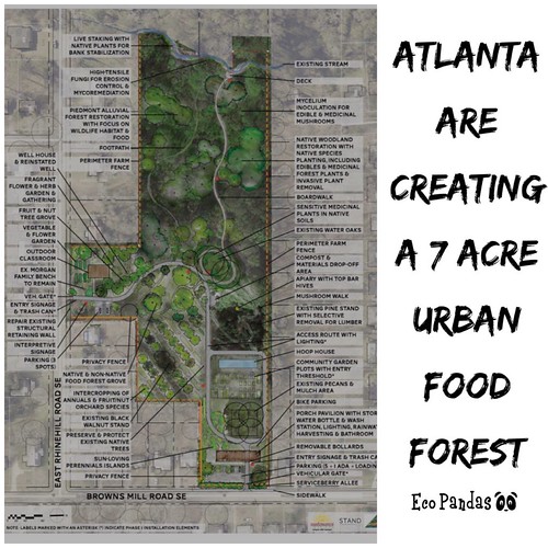 Food forest AtlantaFoodForest Igor Kovacs Flickr