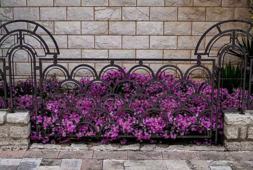 Flowers Flowers Yuri Baklykov Flickr