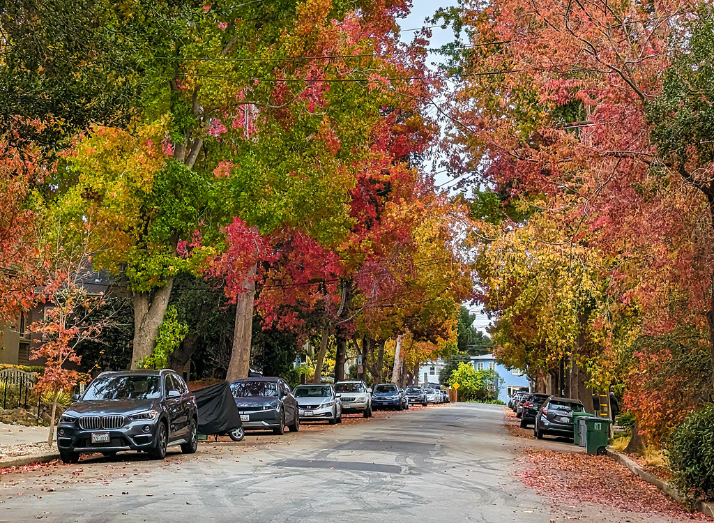 Eton Avenue 11622 Stephen Kaus Flickr