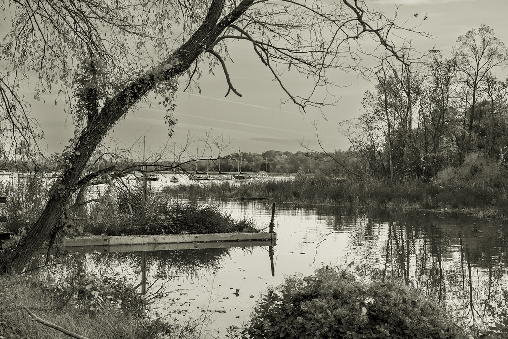 _WJW60243 Belle Haven Marina, Alexandria VA Bill Walderman Flickr