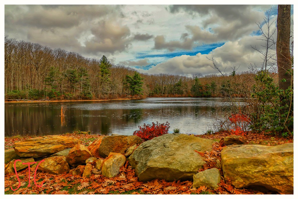 Eames Pond, Moore State Park Autumnal version of Eames Pon… Flickr