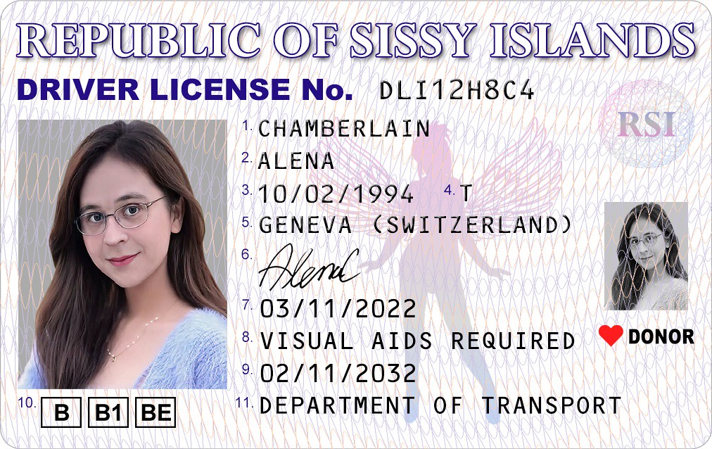 RSI Driver License Front of the RSI Driver License Alena