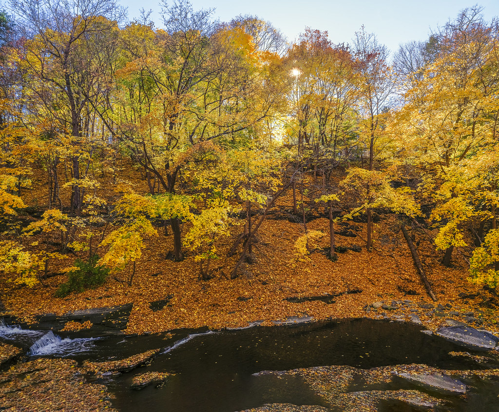 _DSF6813HDR Fall Creek, Ithaca, NY tsjanik47 Flickr
