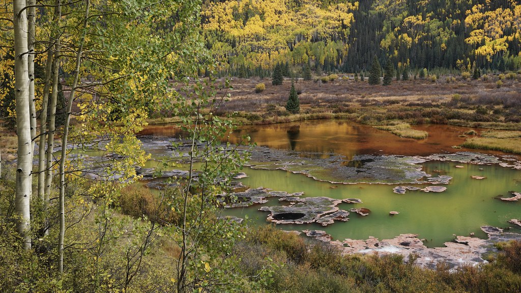 Iron fen, Colorado Mary Ann WhitneyHall Flickr