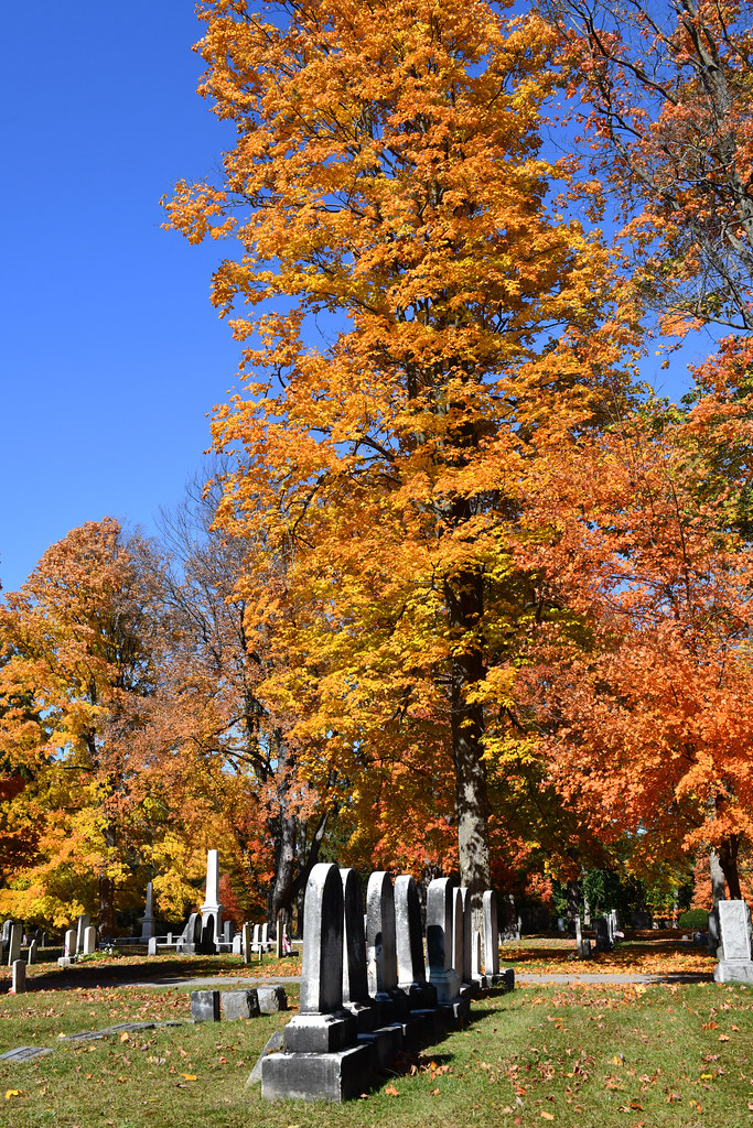 Fall in the Pittsford Cemetery III Pittsford, New York dr_marvel