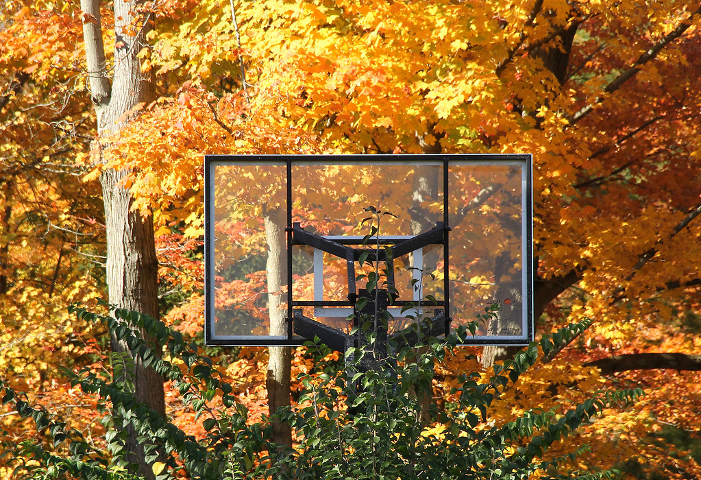 Shoot for the Gold Image made along Dandy Trail in Indiana… Flickr