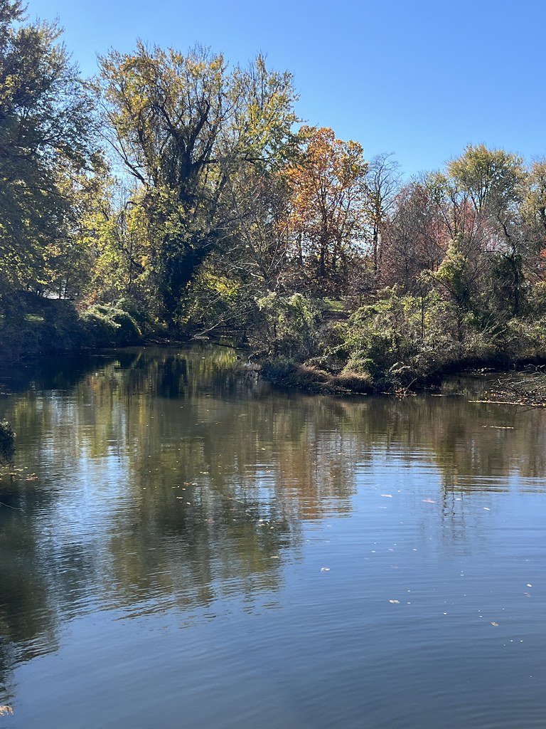 Pond behind Lock House Havre de Grace 1 Larry Flickr