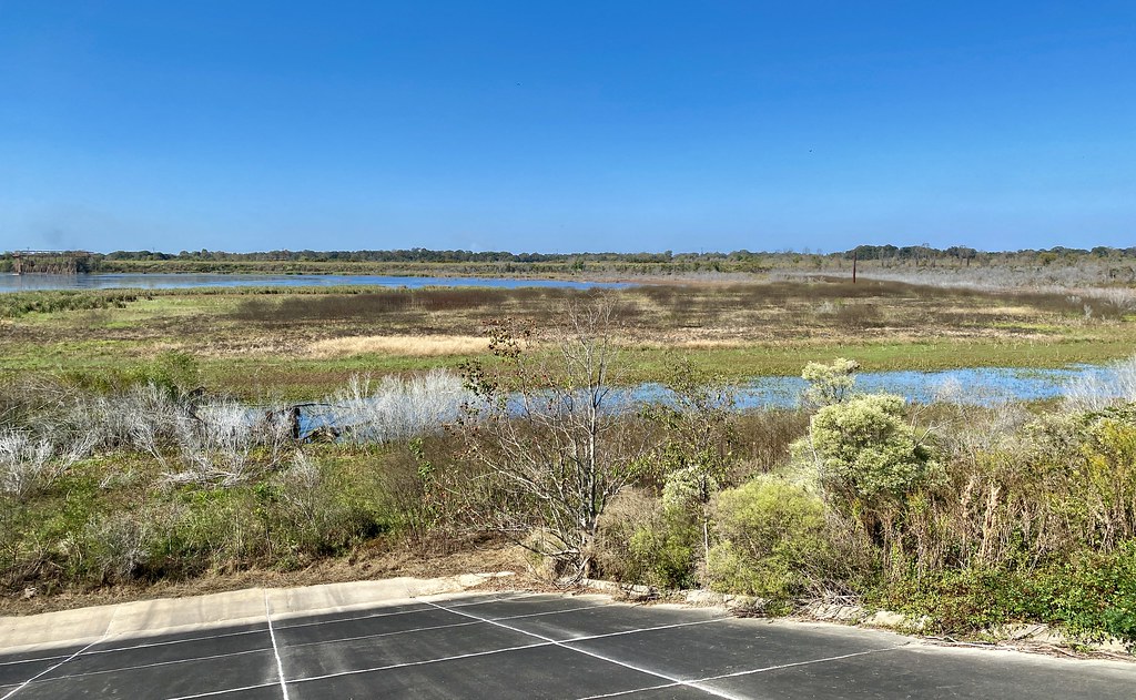 W. Irene Rd. impoundments Habitat shot for eBird List Flickr