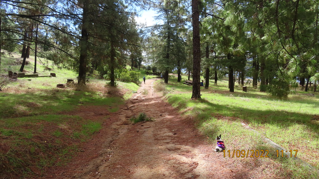 IMG_0208_Henninger Flats (EL 2550’) Nick Shah Flickr