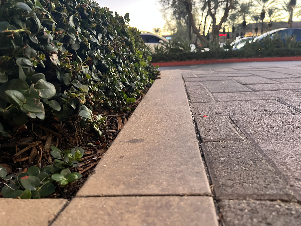 IMG_9096 Brayden Park Flickr