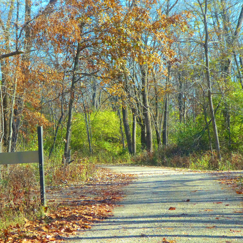 Wildlife Prairie Park Hanna City Illinois(Peoria County) Flickr