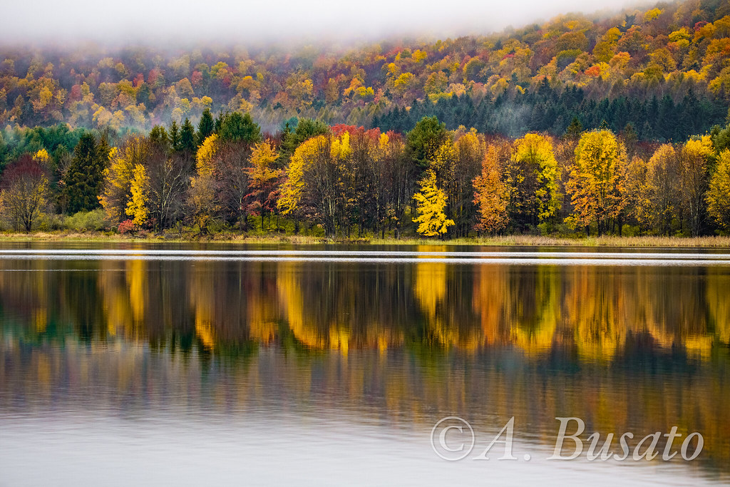 Rose Valley Lake, PA RVLa_002 Alex Busato Flickr