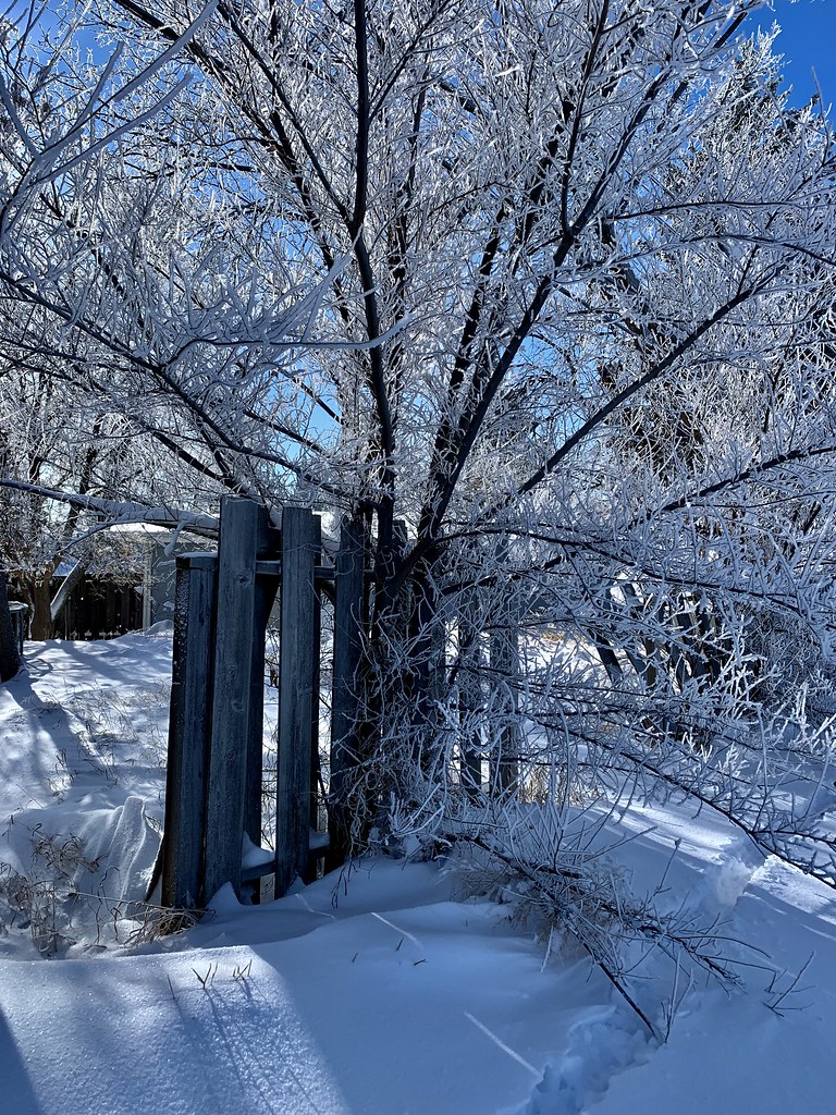 Snow in North Dakota Shelly Moore Flickr