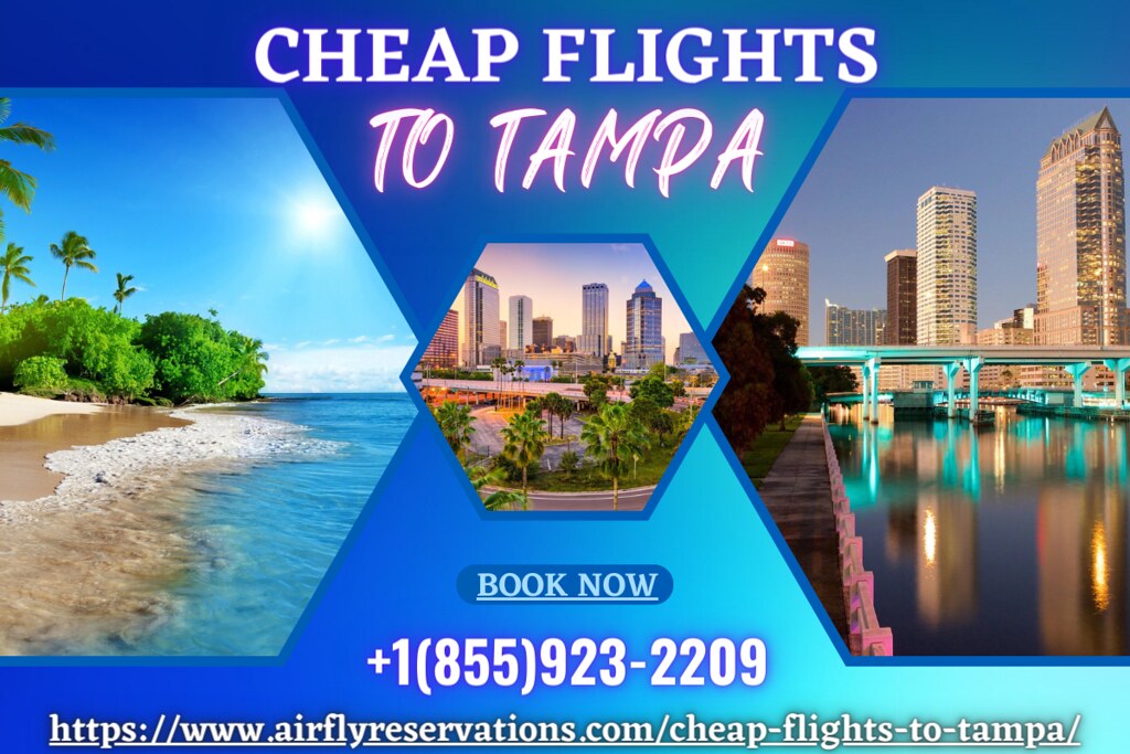 Here you can get cheap flights to Tampa. Are you searching… Flickr