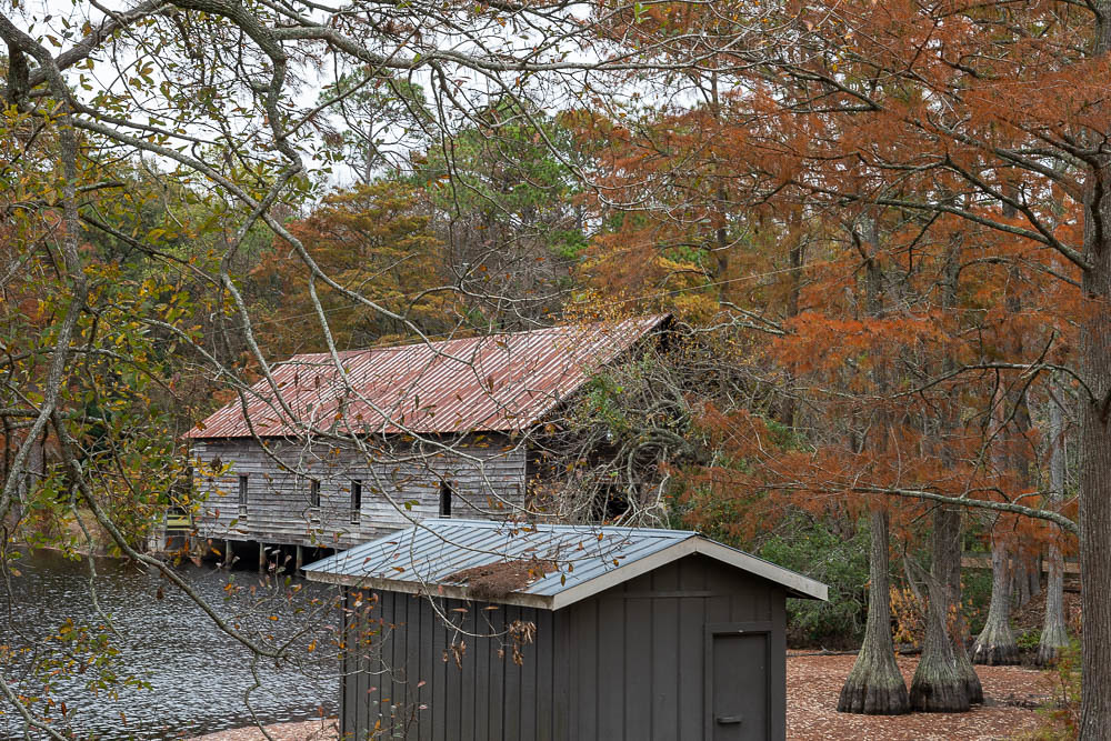 L Smith State Park, Recently traveling thro… Flickr