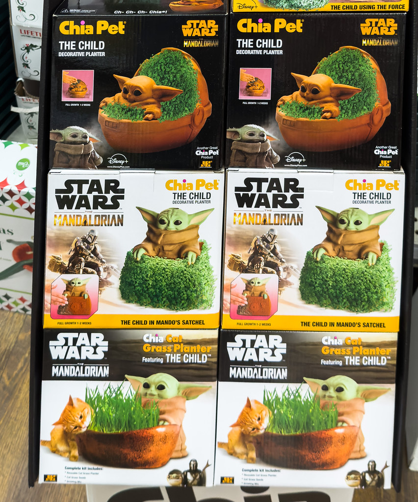 Who remembers Chia pets? I don’t know if the Chia Pet was … Flickr