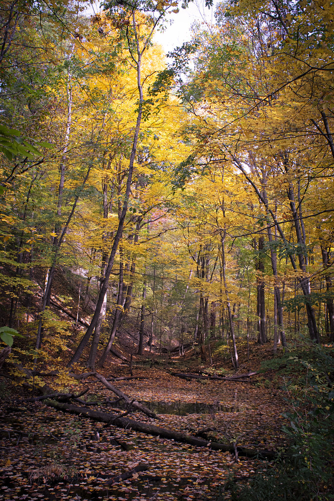 Brandywine Falls Trail Timothy Murray Flickr