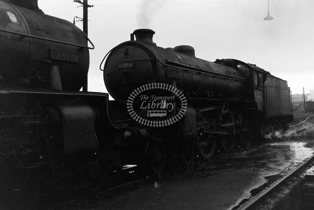 B1 61016 Inyala in Low Moor shed yard,, Terry Allen Flickr