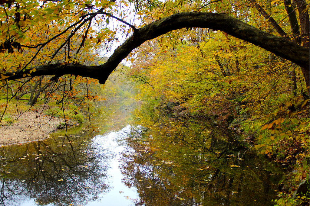 Ari Howell Landscape 22 CESJDS Photo Galleries Flickr