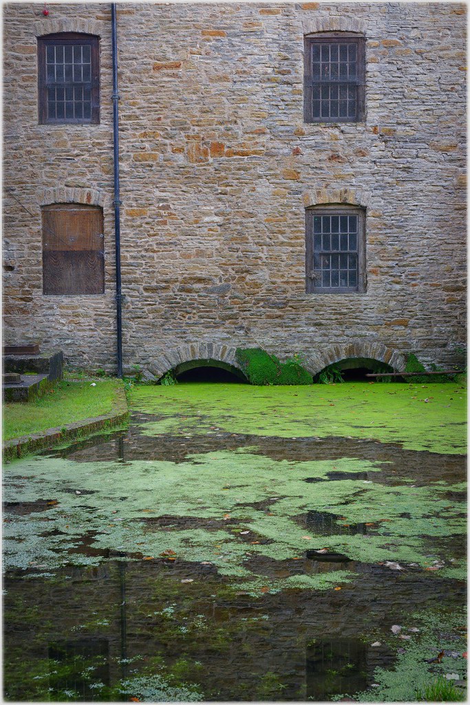 DSC09951_Nik_DxO Greenfield, Flint David Green Flickr