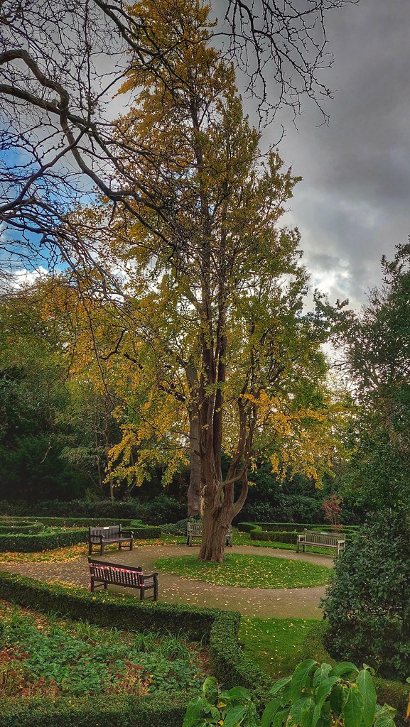 A garden at Lauderdale House, Highgate, London Ilona Flickr