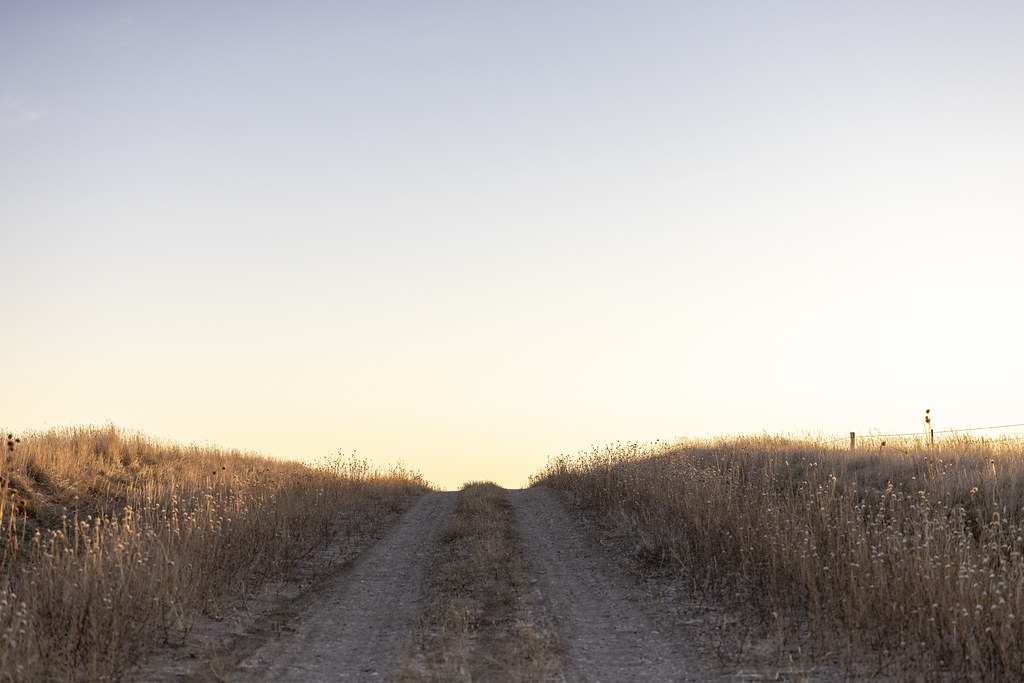 West of Scobey Montana Hunting Trip D20220110048 Moonshine and