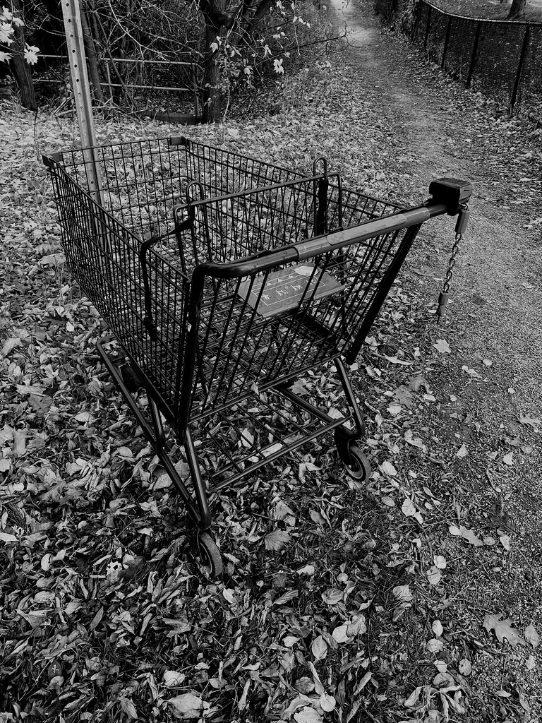 Shopping Carts Flickr