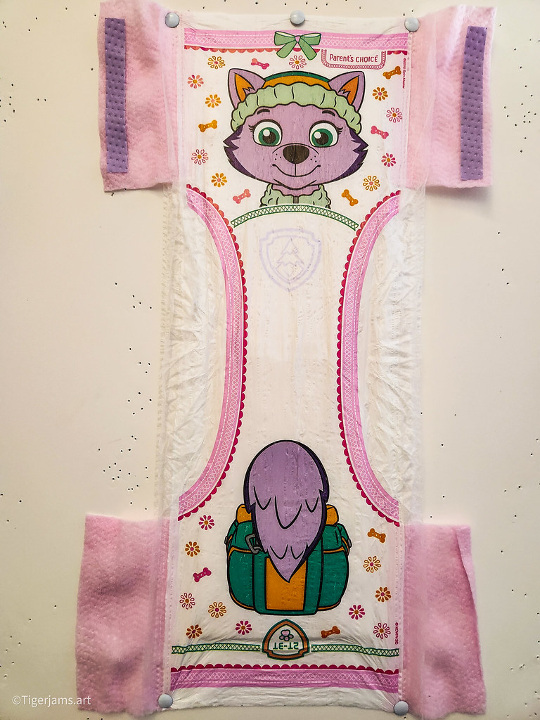 Walmart Parent's Choice Training Pants 2T3T Girls P… Flickr