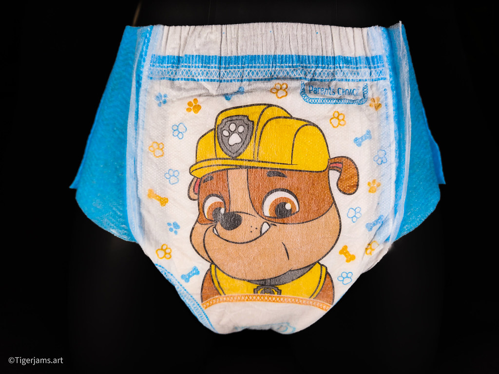 Walmart Parent's Choice Training Pants 3T4T Boys Pa… Flickr