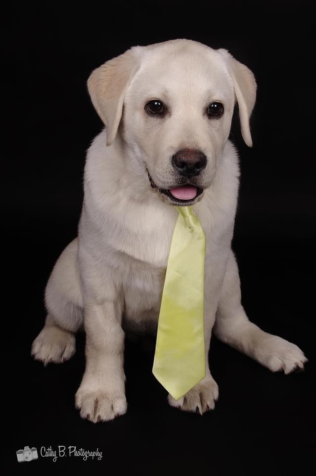 Pet Fresh 2022 Giveaway Entrant Pet Fresh Giveaway Entries… Flickr