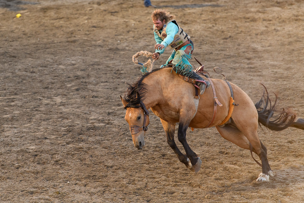 DSC_5362 Lehi Roundup Rodeo 2022 Adrian Parkinson Flickr