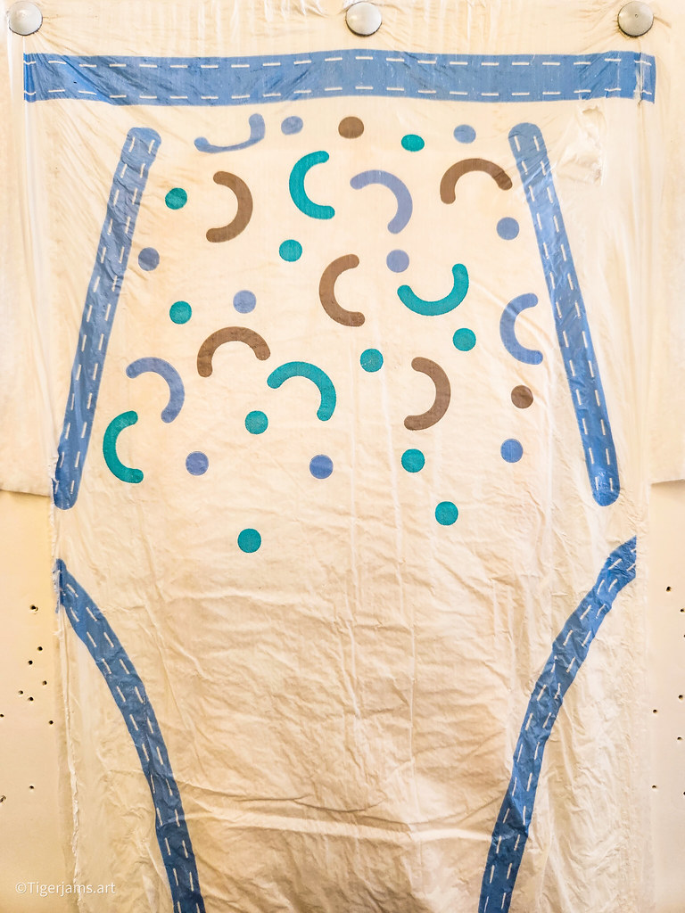 Walmart Parent's Choice Nighttime Underwear L/XL Unise… Flickr