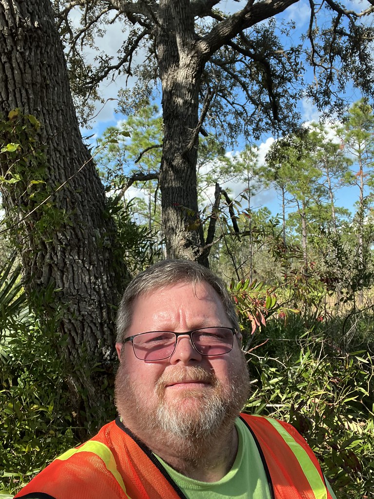 Tr6_1 Sand Live Oak (Quercus Geminata) Latitude 28°37'33.… Flickr
