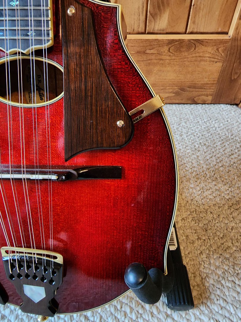 Finished Auten MandoGuitar, 3, Oct 25, 2022 (6) Bruce Robinson Flickr