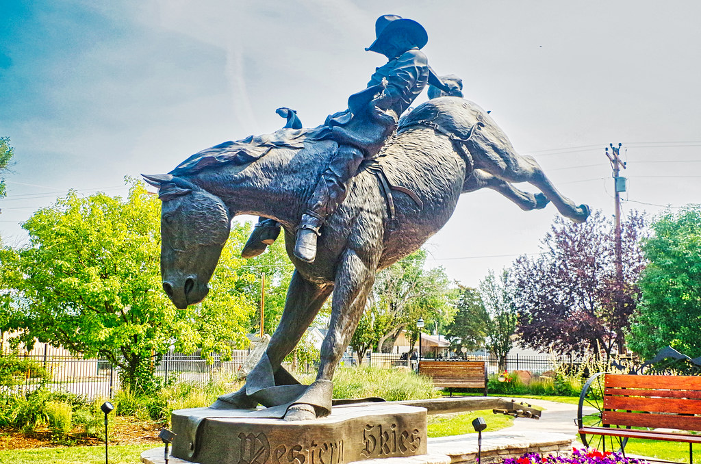 "Goodride Cowboy" by Michael Thomas, Kaycee WY Please see… Flickr