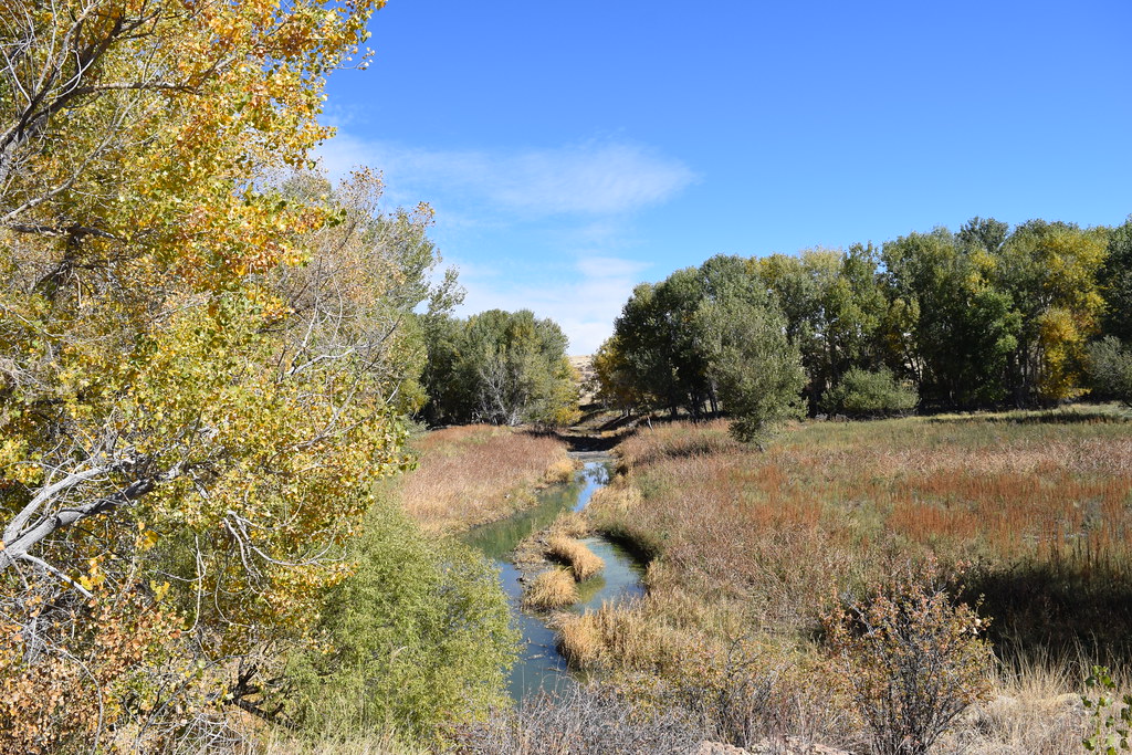 Clayton Lake Nature Trail Clayton Lake State Park Northeas… Flickr