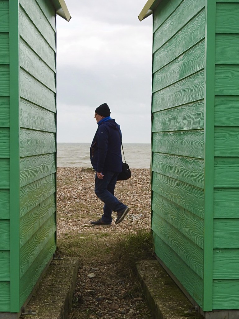 Oyster catcher Littlehampton john shearing Flickr
