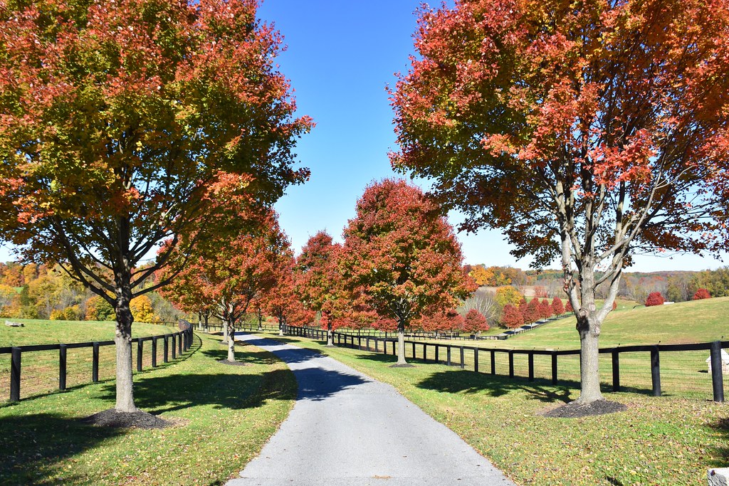 Mt Carmel Road 3820 Upperco, MD October 27, 2022 (1) Flickr