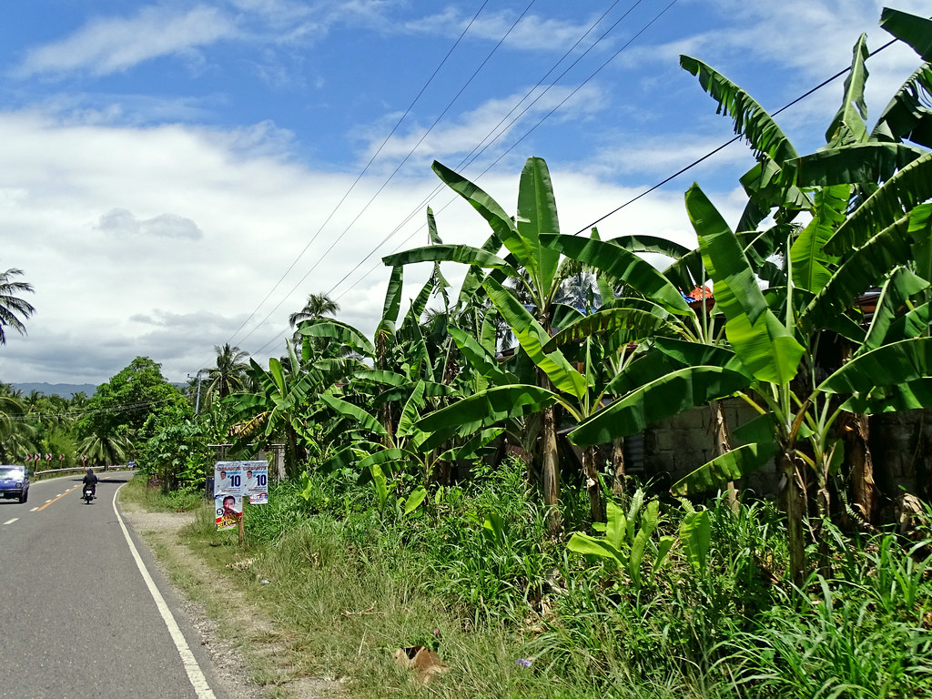 20220504.2050.PHILIPPINEN.Cebu.Dalaguete.Cawayan sunmaya1 Flickr