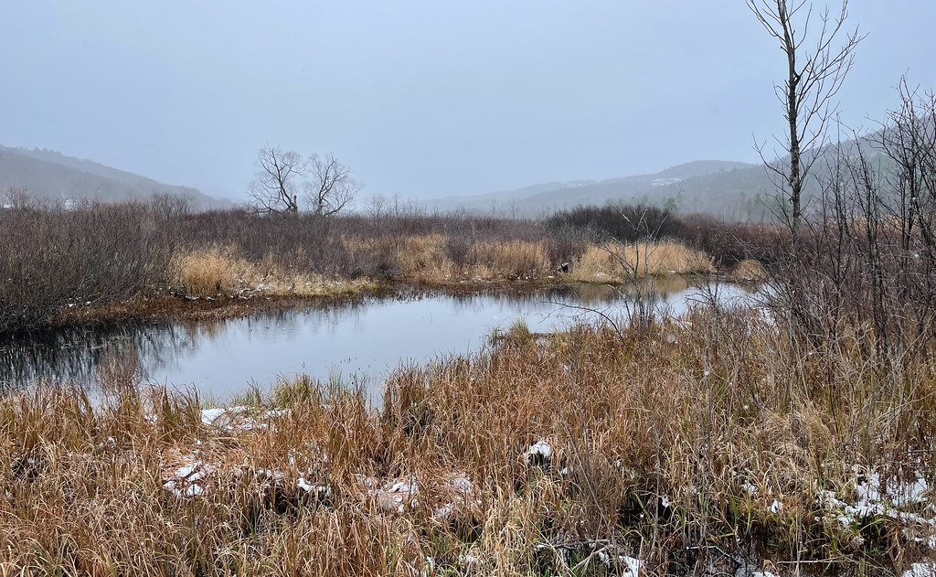 West Rutland Marsh West Rutland, Vermont Susan Elliott Flickr