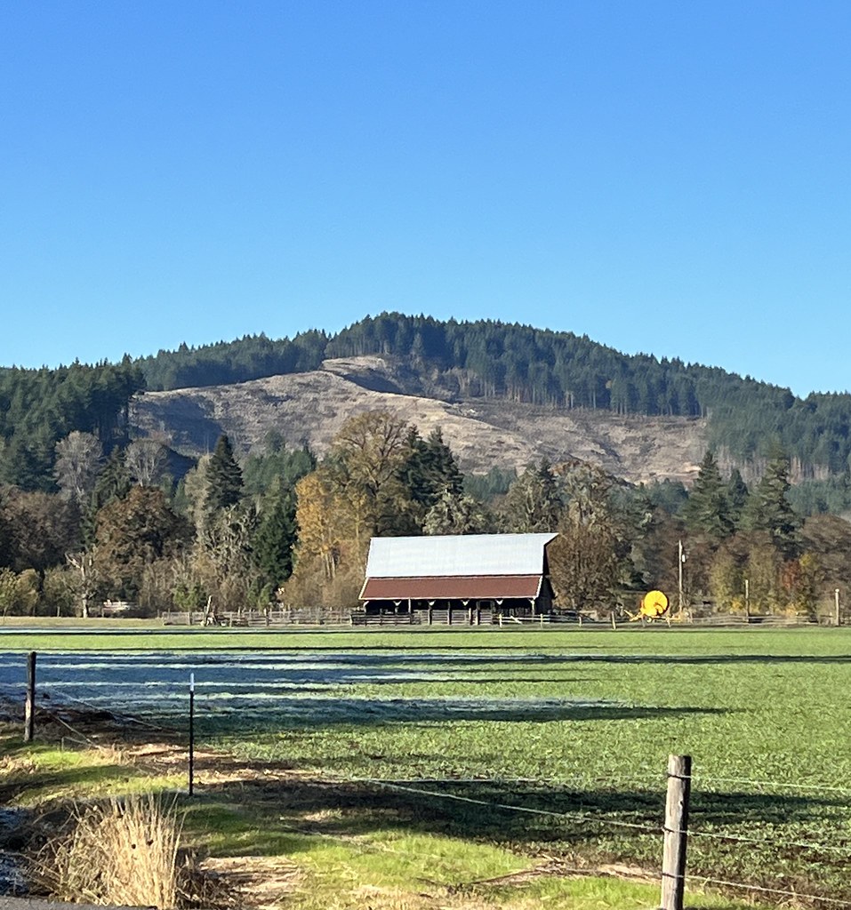 Brownsville>Marcola>Eugene>Portland. Oregon. November 2022… Flickr