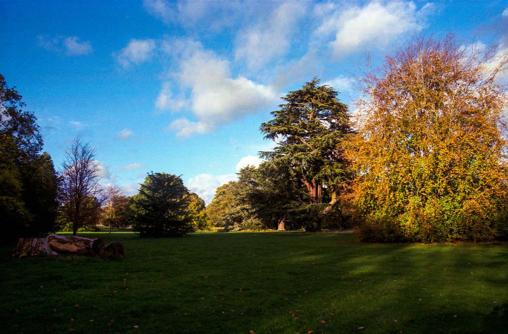 Hardwick Heath In The Autumn Sun Hardwick Heath Bury St Ed… Flickr